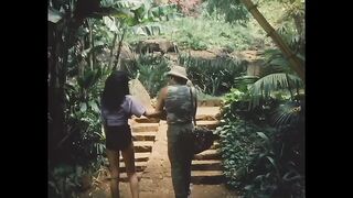 Розовая лагуна (С переводом)